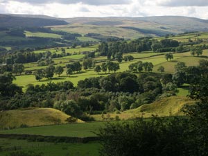 View over Stanhope & Weardale